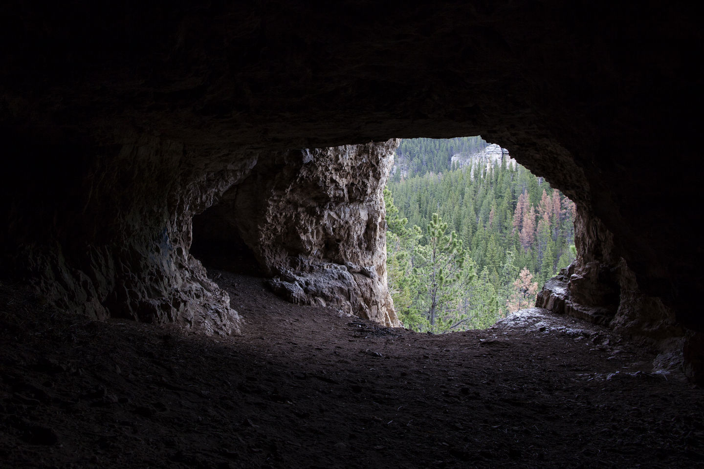 No. 28 Timon Cave